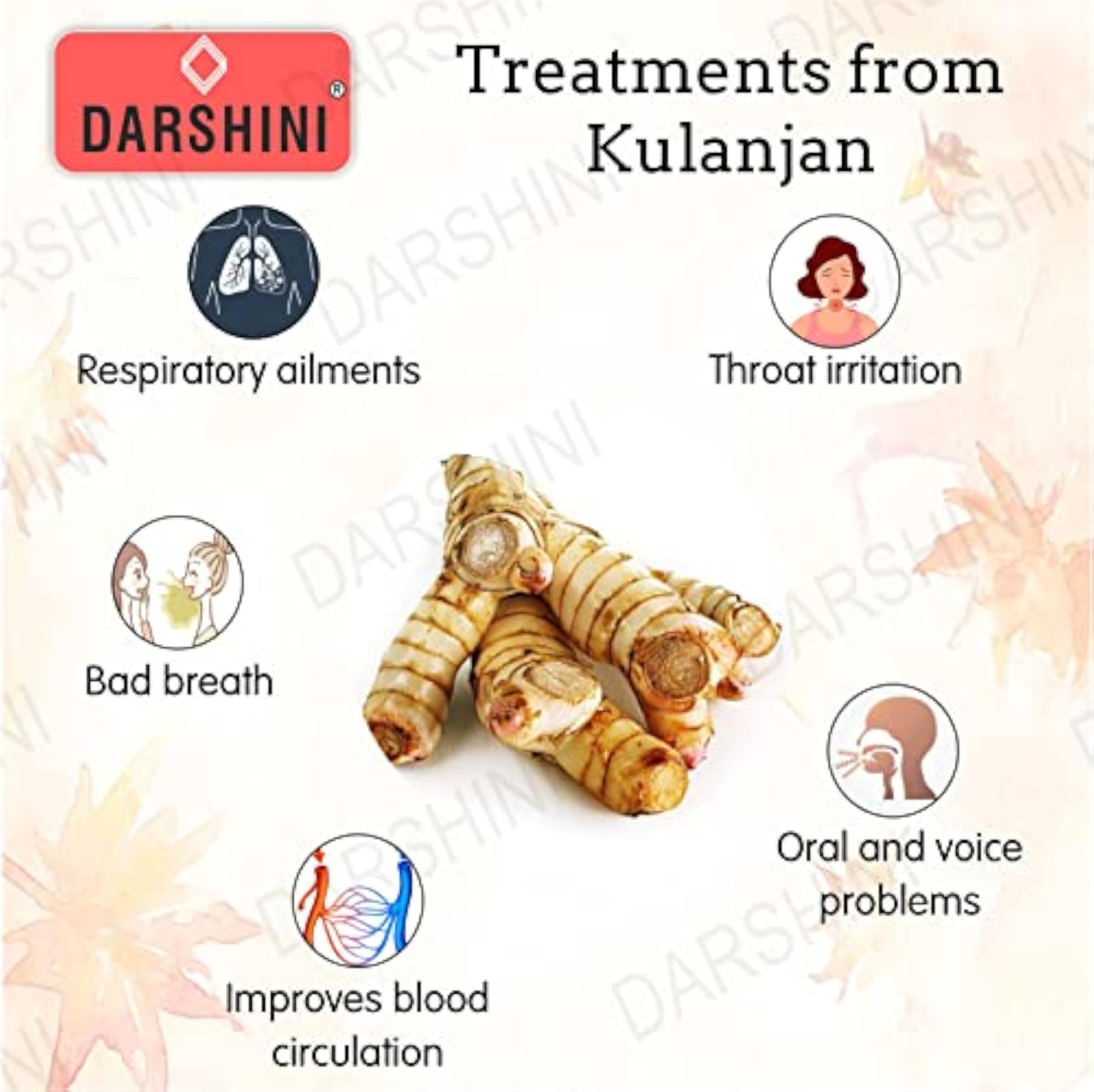 Darshini Kulanjan Root Powder, 200 Grams